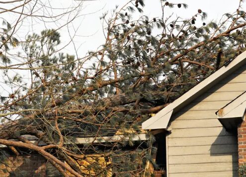 Specialty Services Ottawa 4