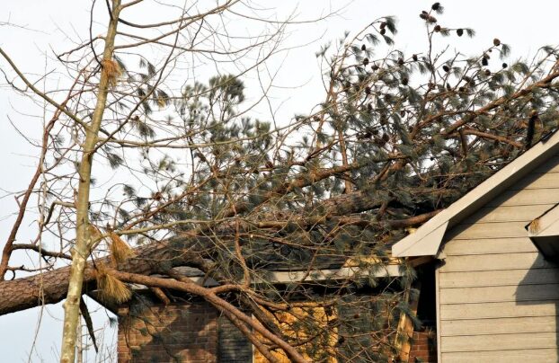 Storm Damage Repair Ottawa 2